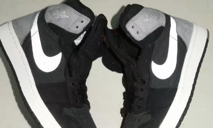 Air Jordan 1 Element Gore-Tex Black Grey DB2889-001 Release