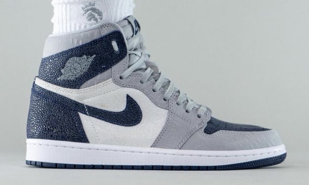 Air Jordan 1 Georgetown Hoyas Reptile PE