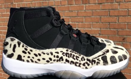 Air Jordan 11 Animal Instinct AR0715-010 Release Date