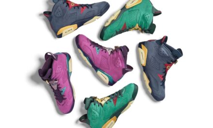 Air Jordan 6 Fraternity 2021 PE Collection