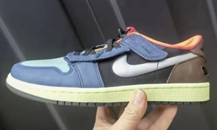 Air Jordan 1 Low FlyEase Bio Hack Release Date