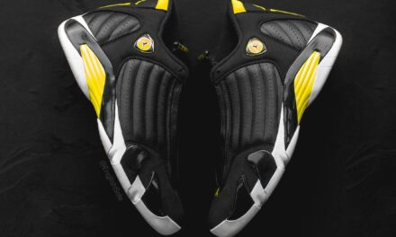 Air Jordan 14 Alternate Thunder Sample