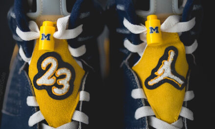 Air Jordan 6 Michigan PE 2022