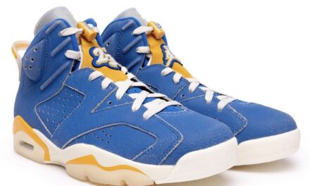 Air Jordan 6 UCLA 2022 PE