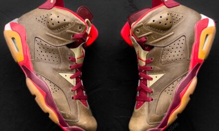 Alternate Cigar Air Jordan 6 Sample