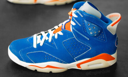 Air Jordan 6 Florida Gators 2022 PE