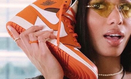 Air Jordan 1 Starfish Shattered Backboard WMNS DO9369-101