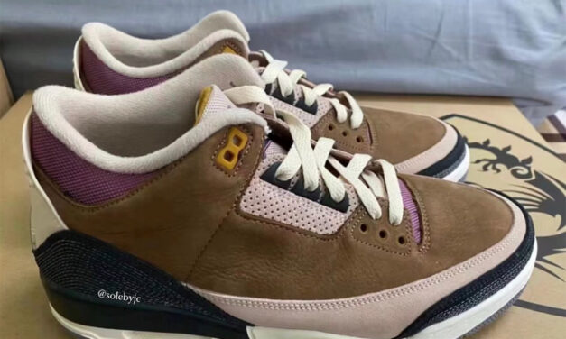 Air Jordan 3 Winterized Archaeo Brown DR8869-200 Release