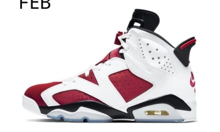 Nike Air Jordan 6 Retro Europe