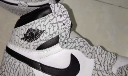 Air Jordan 1 Elephant Print DZ5485-052 Release Date