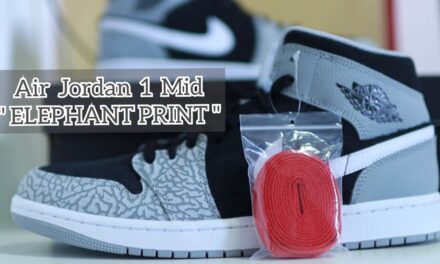 Air Jordan 1 mid “elephant print” unboxing & review
