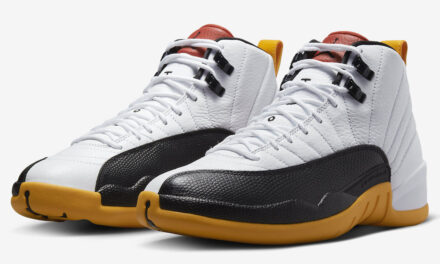 Air Jordan 12 25 Years in China DR8887-100 Release Date