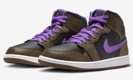 Air Jordan 1 Mid Palomino Wild Berry Black DQ8426-215