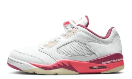 Air Jordan 5 Low GS Fundamental DX4390-116 Release Date