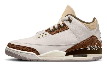Air Jordan 3 Palomino CT8532-102 Release Date