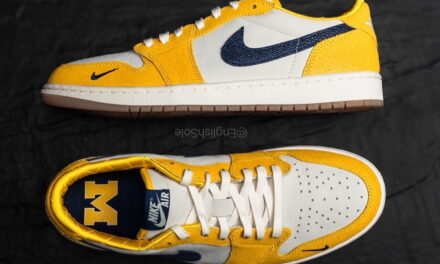 Air Jordan 1 Low OG Michigan PE