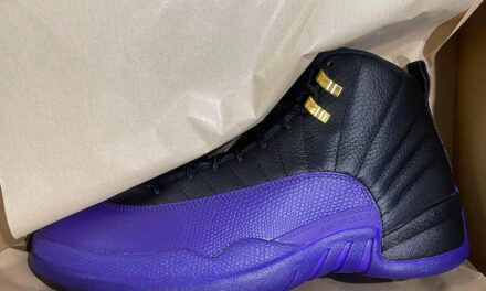 Air Jordan 12 Field Purple CT8013-057 Release Date