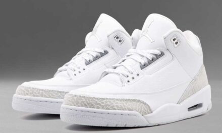 Air Jordan 3 Silver Anniversary (2010) 398613-102