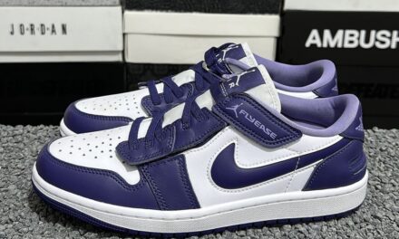 Air Jordan 1 Low FlyEase Sky J Purple DM1206-515