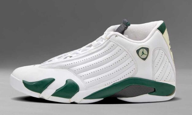Air Jordan 14 Forest Green (2005) 311832-131