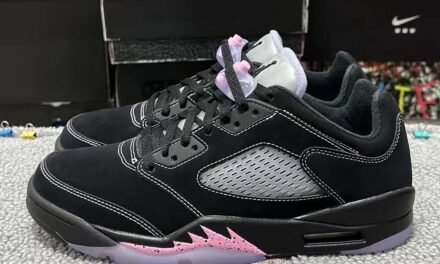 Air Jordan 5 Low Dongdan DX4355-015