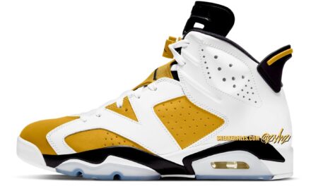 Air Jordan 6 Yellow Ochre CT8529-170