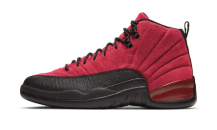 Nike Air Jordan 12 Europe