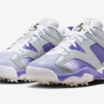 Air Jordan 6 Low Golf US Open FD0205-055