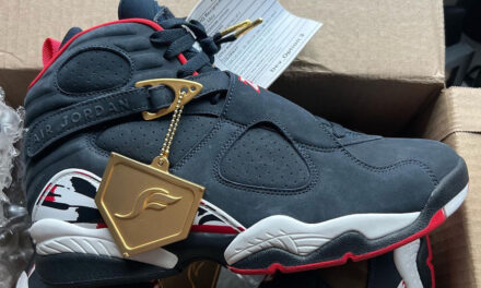 SoleFly x Air Jordan 8 Diamond Turf