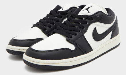 Air Jordan 1 Low Vintage Panda FB9893-101