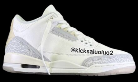 Air Jordan 3 Craft Ivory FJ9479-100