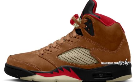 Air Jordan 5 Archaeo Brown DD0587-200