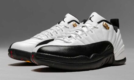 Air Jordan 12 Low Taxi 2011 308317-104