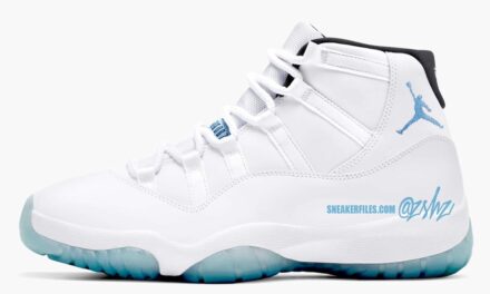 Air Jordan 11 Columbia (Legend Blue) 2024