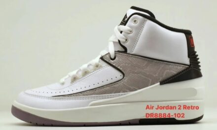 Air Jordan 2 Python DR8884-102