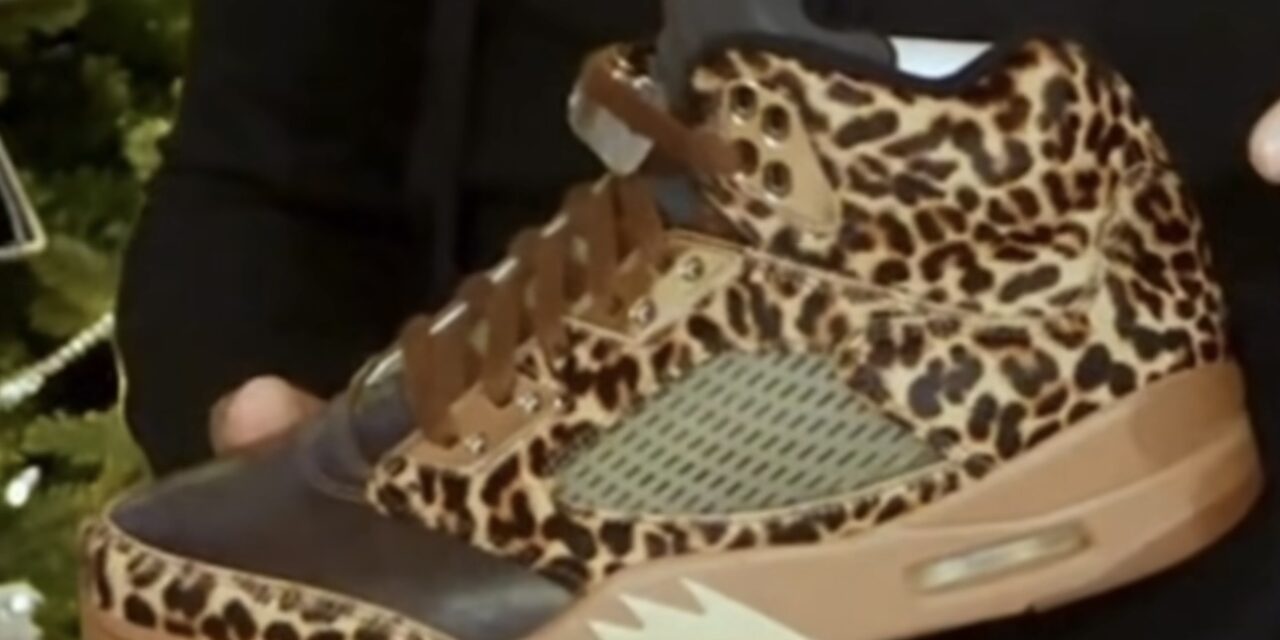 Air Jordan 5 Cheetah PE