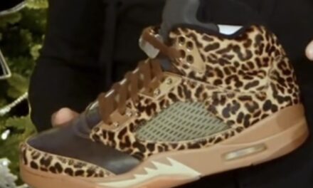 Air Jordan 5 Cheetah PE