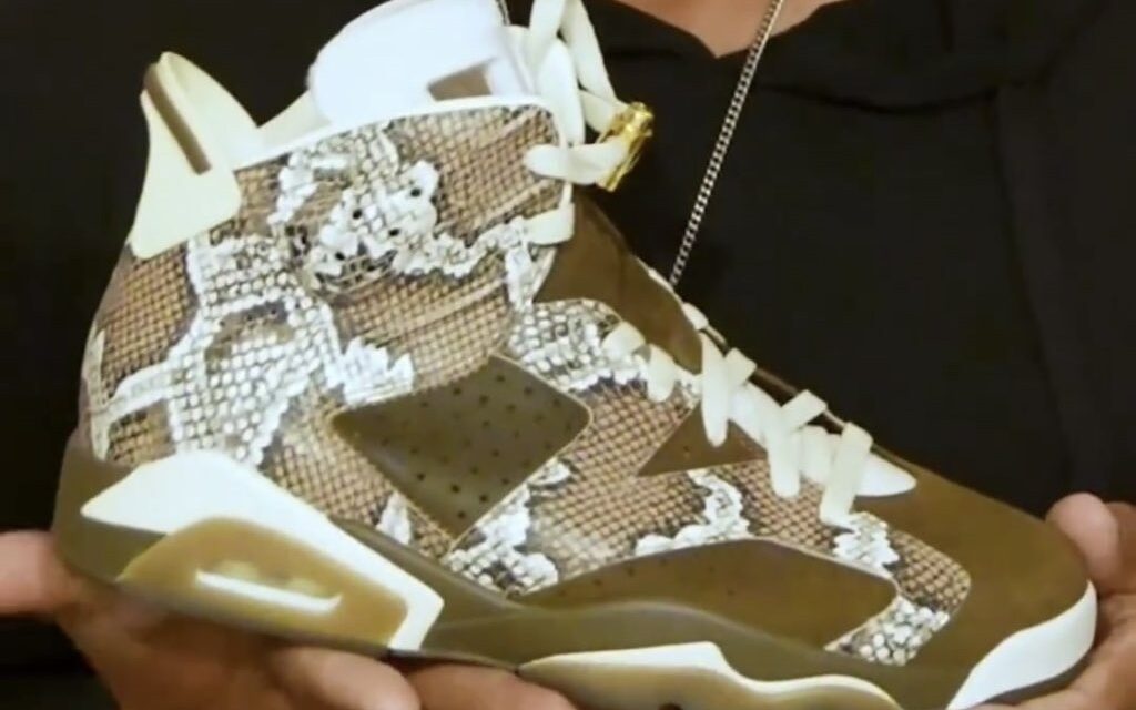 Air Jordan 6 Snakeskin PE