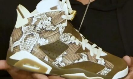 Air Jordan 6 Snakeskin PE