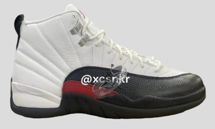 Air Jordan 12 Red Taxi CT8013-162