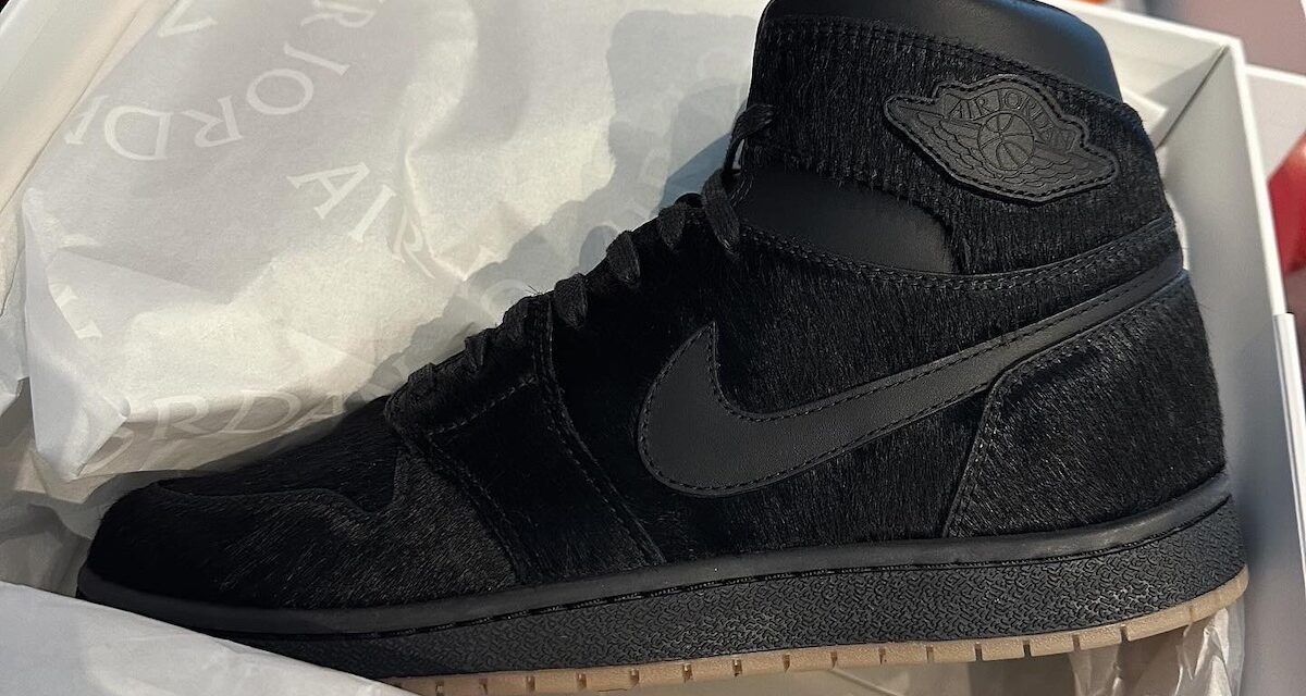 Air Jordan 1 High 85 Wings Black DZ3139-001