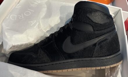 Air Jordan 1 High 85 Wings Black DZ3139-001