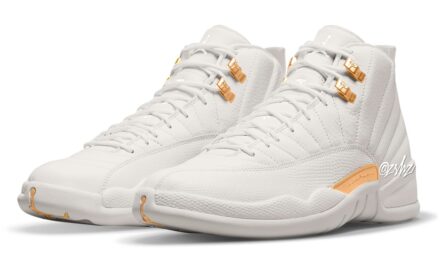 Air Jordan 12 Phantom FD9101-007