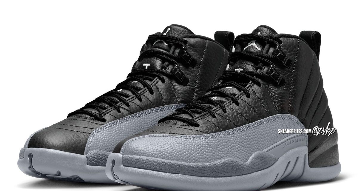 Air Jordan 12 Black Wolf Grey CT8013-010