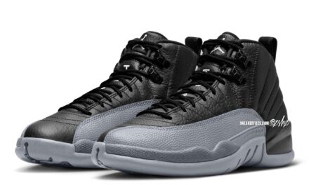 Air Jordan 12 Black Wolf Grey CT8013-010