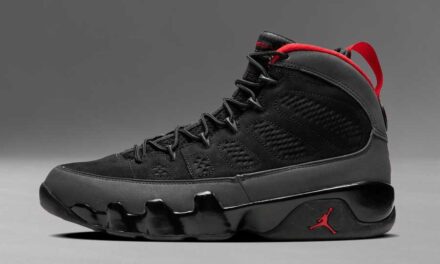 Air Jordan 9 Charcoal 2010 302370-005