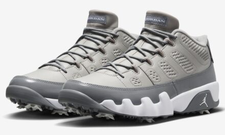 Air Jordan 9 Golf Cool Grey FJ5934-001