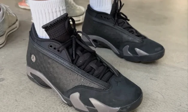 Air Jordan 14 Low “Black Ostrich” Release Date IZ3884-001