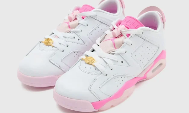 Air Jordan 6 Low GS “China Rose” IQ5976-100