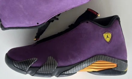 Air Jordan 14 “Purple Ferrari” WNBA PE